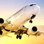 flight